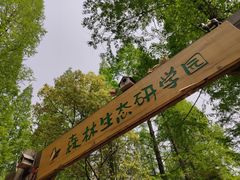 -东平国家森林公园