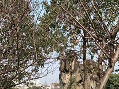 -沙河三洞古桥公园