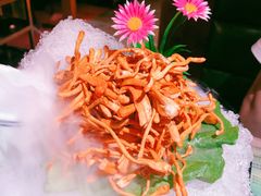 -探窝·竹笙椰子鸡(杨箕店)