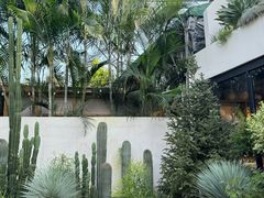 -自由生长植物工作室(深港花卉中心店)