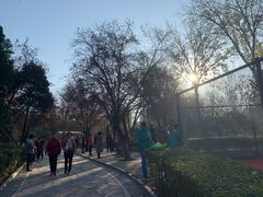 -西安市长乐公园