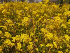 -南开大学第二食堂(津南校区)