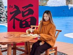 -汕头中海黄金海岸水上乐园