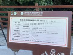 -西双版纳原始森林公园