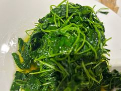 -席家花园(巨鹿花园店)