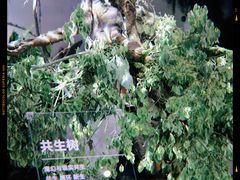 -精绝七日-新疆尼雅遗址数字大展【拉法耶文化艺术中心】