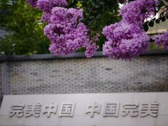 -杭州城北体育公园