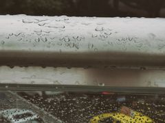 -重庆医科大学附属第一医院(本部)