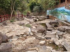 -广州白江湖森林公园