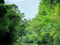 -同里国家湿地公园