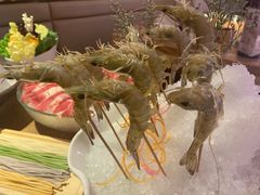 -尚海豆捞(乐虹坊店)