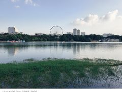 -南宁南湖公园