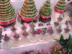 -大自然花鸟鱼虫市场