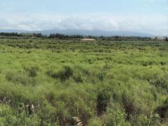 -黑瞎子岛探秘野熊园