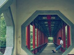 -迎泽公园
