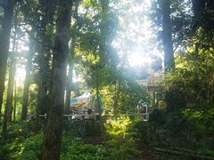 -庐山风景区花径公园