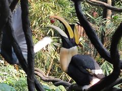 -广州长隆野生动物世界