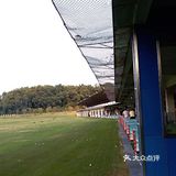 ～优雅的挥杆～️迷上高尔夫  禁足辣么久