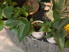 -泰古龙抓龙筋·spa按摩(静安店)