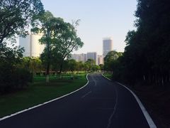 -艾溪湖湿地公园