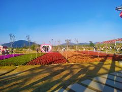 -芒洲湿地公园