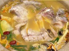 -抚仙湖生态石锅鱼野生菌(告庄店)
