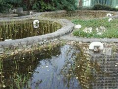 -活水公园