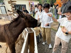 -HERRE·FARM 赫尔露营农场·团建聚会包场