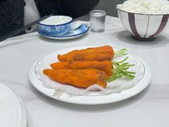 -丁老爷子苏香圆