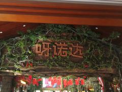 -呀诺达热带雨林