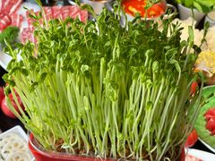 -番食园鲜食火锅(高新店)