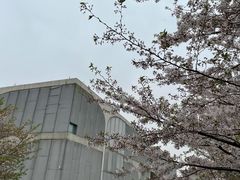 -龙美术馆(西岸馆)
