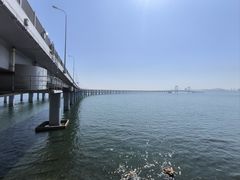 -星海湾跨海大桥