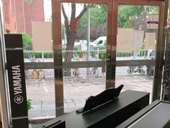 -雅马哈钢琴电钢琴城盛世雅歌琴行•电钢琴城•钢琴培训•二手钢琴租赁(西三环旗舰店)