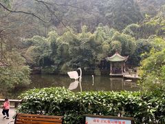 -黔灵山公园