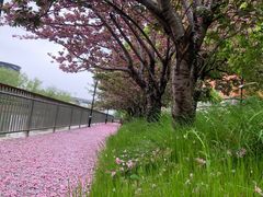 -复旦大学附属华山医院(浦东院区)