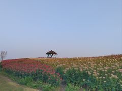 -径山花海