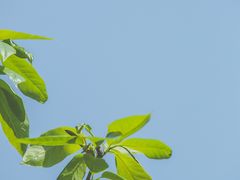 -白塘生态植物园