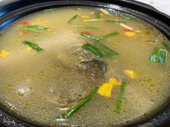 甲鱼-新洪记·丽久饭店(铁西店)