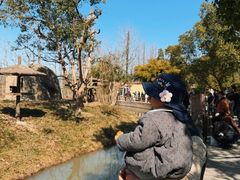 -宁波野生动物园