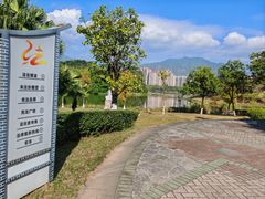 -飞来湖湿地公园