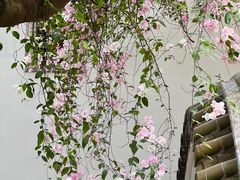 -深圳国际园林花卉博览园