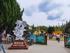 -东平国家森林公园