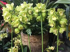 -金陵之星大酒店·中餐厅