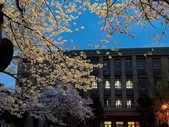 -武汉大学-樱园