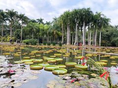-中国科学院西双版纳热带植物园