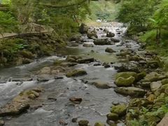 -广州市石门国家森林公园