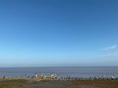 -南汇嘴观海公园