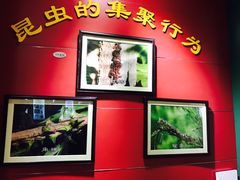 -上海昆虫博物馆
