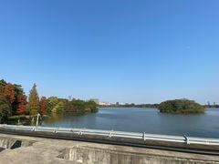 -海珠湖公园